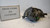 FORD KA «I» (1997) FANALERIA PROIETTORE ANT. SX. USATO Da 1998 A 2002 [[236243]]