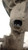 FORD C-MAX «I» (2003) STERZO SCATOLA STERZO C/SERVOSTERZO USATO Da 2003 A 2007 [[238097]]