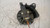 FIAT PUNTO EVO (2010) TERMICO MOTORINO VENTILAZIONE ABITACOLO USATO Da 2009 A 2011 [[238071]]