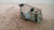 FIAT TEMPRA (1990) FANALERIA PROIETTORE ANT. DX. USATO Da 1990 A 1993 [[234603]]