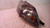 PROIETTORE ANT. DX. USATO DAL 2005 AL 2008 VOLKSWAGEN GOLF PLUS «I» (2004) 1K6941030C [[231457]]