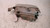 FIAT PUNTO «I» (1994) FANALERIA PROIETTORE ANT. DX. USATO Da 1996 A 1998 [[230492]]