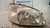 HYUNDAI GETZ «I» (2002) FANALERIA PROIETTORE ANT. DX. USATO Da 2003 A 2005 [[229640]]