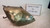 FORD FIESTA «V» (2002) FANALERIA PROIETTORE ANT. DX. USATO Da 2002 A 2008 [[229483]]