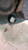 FIAT GRANDE PUNTO (2006) FANALERIA PROIETTORE ANT. DX. USATO Da 2005 A 2010 [[228873]]