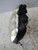 FIAT PUNTO «II» (2003) FANALERIA PROIETTORE ANT. DX. USATO Da 2003 A 2009 [[218614]]