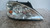 FORD GALAXY «II» (2000) FANALERIA PROIETTORE ANT. DX. USATO Da 2003 A 2006 [[216131]]
