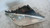 FORD GALAXY «II» (2000) FANALERIA PROIETTORE ANT. DX. USATO Da 2003 A 2006 [[216131]]