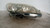 CITROEN C4 «I» (2005) FANALERIA PROIETTORE ANT. DX. USATO Da 2004 A 2011 [[215444]]