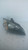 FORD FOCUS «II» (2005) FANALERIA PROIETTORE ANT. DX. USATO [[90699]]