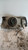 LANCIA Y10 (1990) FANALERIA PROIETTORE ANT. DX. USATO Da 1994 A 1995 [[90506]]
