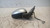 ROVER 25 (2000) CRISTALLI RETROVISORE ESTERNO ANT. DX. USATO Da 1999 A 2004 [[238535]]