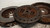 OPEL CORSA «D» (2010) CAMBIO E TRASMISSIONE KIT FRIZIONE CON VOLANO USATO Da 2010 A 2011 [[238467]]