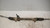 OPEL CORSA «D» (2010) STERZO SCATOLA STERZO C/SERVOSTERZO USATO Da 2010 A 2011 [[238463]]