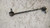 FIAT 500 «II» (2015) ASSALE BIELLETTA STABILIZZATRICE ANT. DX. USATO Da 2015 in poi [[238403]]