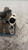 RENAULT CAPTUR «I» (2013) TERMICO COMPRESSORE A/C USATO Da 2014 A 2017 [[238390]]