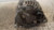 OPEL MERIVA «B» (2014) IMPIANTO ELETTRICO ALTERNATORE USATO Da 2014 in poi [[235710]]