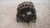 SMART FORTWO COUPÉ «453» (2015) IMPIANTO ELETTRICO ALTERNATORE USATO Da 2014 in poi [[229014]]
