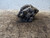 OPEL AGILA «B» (2008) IMPIANTO ELETTRICO ALTERNATORE USATO Da 2010 in poi [[225517]]