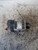 LANCIA YPSILON «III» (2015) IMPIANTO ELETTRICO ALTERNATORE USATO Da 2016 A 2021 [[224461]]