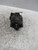 CITROEN C3 PLURIEL (2003) IMPIANTO ELETTRICO ALTERNATORE USATO Da 2004 A 2011 [[220641]]
