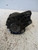 FIAT SEICENTO (1998) IMPIANTO ELETTRICO ALTERNATORE USATO Da 1998 A 2000 [[218854]]