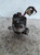 FIAT PANDA «III» (2012) IMPIANTO ELETTRICO ALTERNATORE USATO Da 2012 in poi [[216581]]