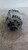 ALTERNATORE USATO DAL 2009 AL 2014 VOLKSWAGEN POLO «VI» (2009) 03P903023D [[215989]]