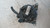 FORD FOCUS «IV» SW (2014) IMPIANTO ELETTRICO ALTERNATORE USATO Da 2014 in poi [[214055]]