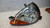 FORD KA «I» (1997) FANALERIA PROIETTORE ANT. SX. USATO Da 2002 A 2008 [[237229]]