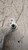 HYUNDAI I10 «II» (2016) TERMICO FLESSIBILE A/C (CONDENSATORE/COMPRESSORE) USATO Da 2016 in poi [[239098]]