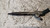INIETTORE USATO DAL 1998 AL 2003 SMART CABRIO «450» (1998) A6600700187 [[238749]]