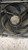 OPEL FRONTERA «A» (1992) TERMICO ELETTROVENTOLA USATO Da 1995 A 1998 [[238723]]