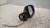 DACIA DUSTER «I» (2014) CRISTALLI RETROVISORE ESTERNO ANT. DX. USATO Da 2017 A 2021 [[239170]]