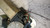 ROVER 25 (2000) CRISTALLI ALZACRISTALLO PORTA ANT. DX. USATO Da 1999 A 2004 [[238537]]