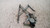 ALZACRISTALLO PORTA ANT. DX. USATO DAL 2001 AL 2003 TOYOTA YARIS (JAPAN) «I» (1999) 8571052030 [[233258]]