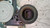 ALZACRISTALLO PORTA ANT. DX. USATO DAL 2001 AL 2003 TOYOTA YARIS (JAPAN) «I» (1999) 8571052030 [[233258]]