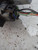 FORD FOCUS «I» (1999) LAMIERATI ESTERNI ALZACRISTALLO PORTA ANT. DX. USATO Da 2000 A 2005 [[217116]]