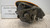 RENAULT MODUS (2005) FANALERIA PROIETTORE ANT. SX. USATO Da 2004 A 2007 [[239341]]
