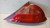 LANCIA Y (YPSILON) (1996) FANALERIA FANALE POST. DX. USATO Da 2001 A 2003 [[236230]]