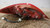 MAZDA 2 «II» (2008) FANALERIA FANALE POST. DX. USATO Da 2007 A 2010 [[234093]]
