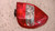 HONDA JAZZ «I» (2002) FANALERIA FANALE POST. DX. USATO Da 2001 A 2008 [[232194]]