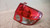 HYUNDAI GETZ «II» (2005) FANALERIA FANALE POST. DX. USATO Da 2005 A 2009 [[229454]]