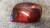 TOYOTA YARIS (FRANCE ) «I» (2002) FANALERIA FANALE POST. DX. USATO Da 2002 A 2005 [[228816]]