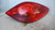PEUGEOT 207 (2006) FANALERIA FANALE POST. DX. USATO Da 2006 A 2009 [[212922]]
