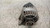 FIAT 500 «II» (2008) IMPIANTO ELETTRICO ALTERNATORE USATO Da 2012 A 2015 [[239603]]