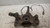 OPEL CORSA «D» (2011) ASSALE FUSELLO RUOTA ANT. DX. USATO Da 2011 in poi [[239645]]