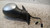 PEUGEOT 306 SW (1998) CRISTALLI RETROVISORE ESTERNO ANT. DX. USATO Da 1998 A 2002 [[239627]]