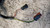 PEUGEOT 306 SW (1998) CRISTALLI RETROVISORE ESTERNO ANT. SX. USATO Da 1998 A 2002 [[239626]]