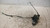 CITROEN C3 PICASSO (2009) LAMIERATI ESTERNI SERRATURA PORTA ANT. DX. USATO Da 2010 A 2012 [[239933]]